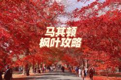 开云体育APP下载-马其顿主场战胜蒙古，晋级之路何去何从？的简单介绍