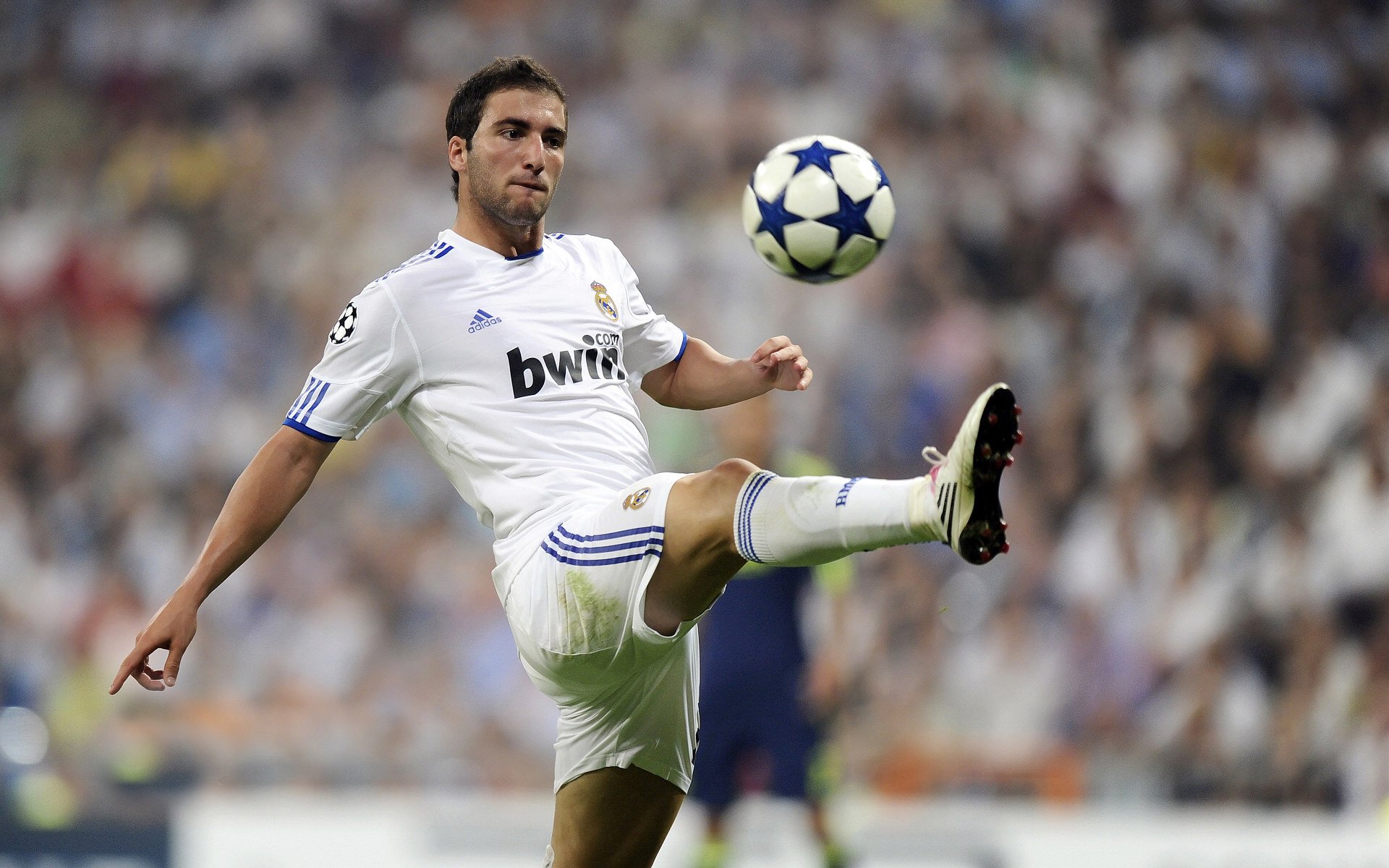 铁卫德里赫特临危救主，摩纳哥远征新西兰奠定霸权