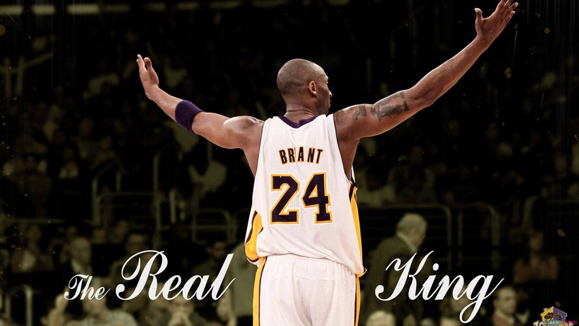 铁血将军霍勒迪,鏖战黄蜂之夜,他一人改写东部版图