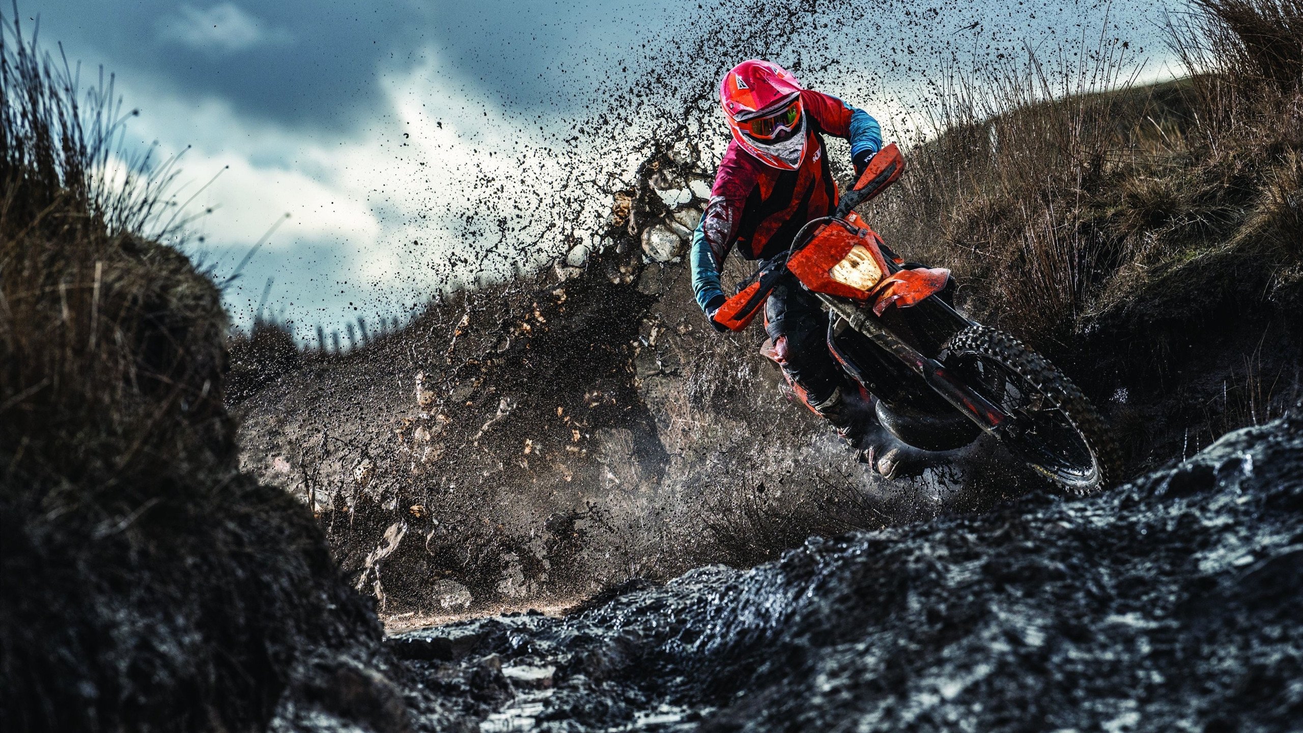 血色彗星，那夜芝加哥用意志熔断夏洛特的翅膀